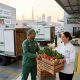 Organic Fresh Fruits & Vegetables Supplier in UAE