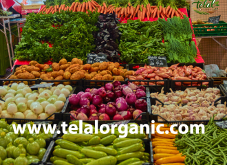 Vegetable Supplier for Restaurants Dubai | Fresh Daily Supply for Restaurants & Hotels