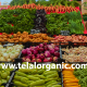 Vegetable Supplier for Restaurants Dubai | Fresh Daily Supply for Restaurants & Hotels