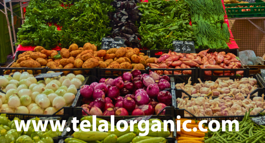Vegetable Supplier for Restaurants Dubai | Fresh Daily Supply for Restaurants & Hotels