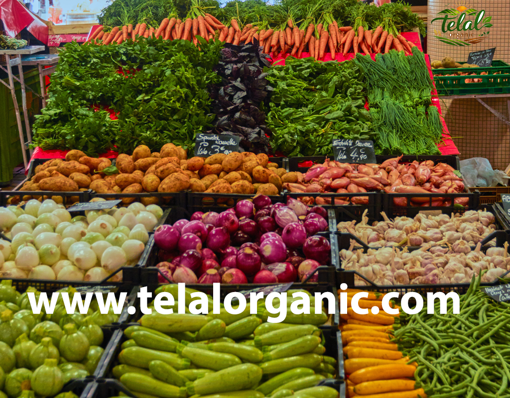 Vegetable Supplier for Restaurants Dubai | Fresh Daily Supply for Restaurants & Hotels